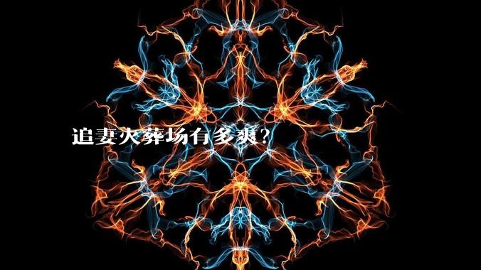 追妻火葬场有多爽？