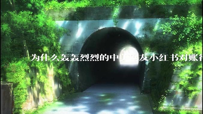 为什么轰轰烈烈的中美网友小红书对账行动戛然而止了？