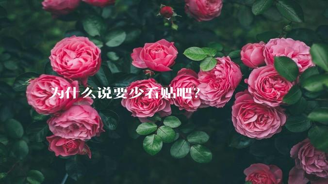 为什么说要少看贴吧？